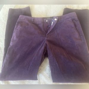 Express RYAN woman’s pants plum color size 10 straight leg